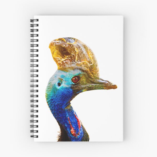 Item preview, Close-up of the head of a southern Cassowary designed and sold by Dalyndigital Photography.