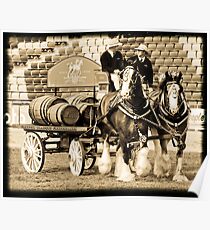 C.U.B Horses, Royal Melbourne Show - Series (13) Poster
