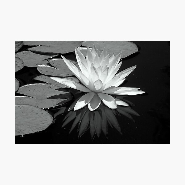 Item preview, Simplicity designed and sold by Patty Lewis.