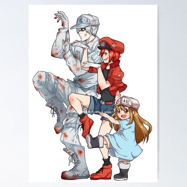 Cells at Work - Season 2 Poster Magnet for Sale by adriannadam