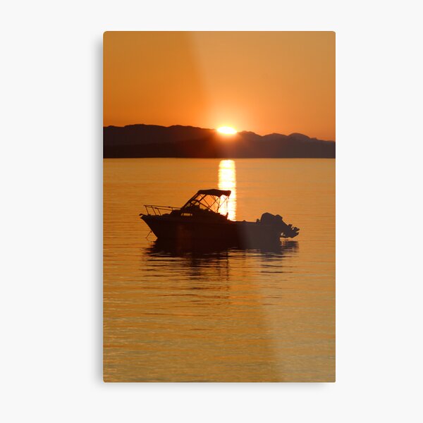 Golden Glow Metal Print