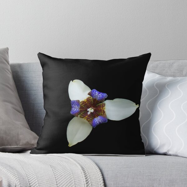 Item preview,  Orchid, Ciudad Colon, Costa Rica designed and sold by Guy C. André Tschiderer.