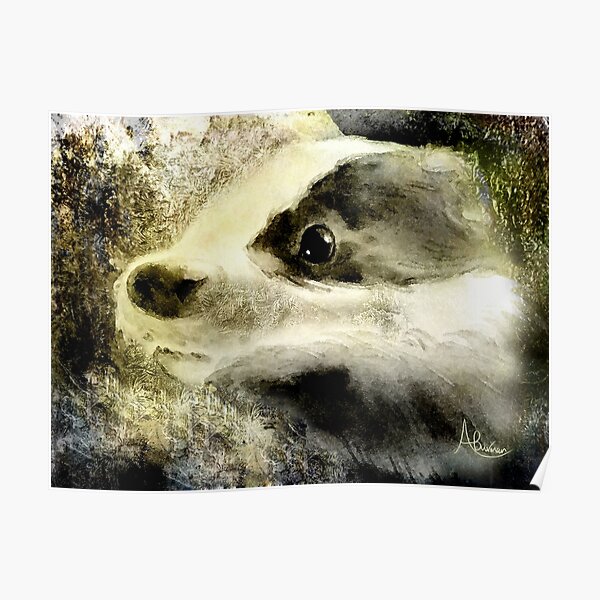 Baby Badger Poster