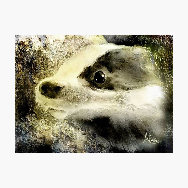 Baby Badger Photographic Print