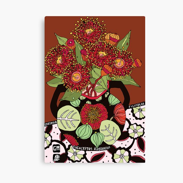 Corymbia Ficifolia Canvas Print