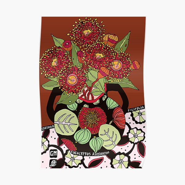 Corymbia Ficifolia Poster