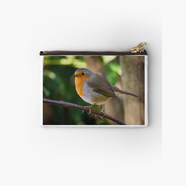 Item preview, Christmas robin designed and sold by photosbygemmad.