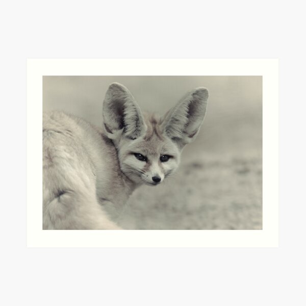 Stolen Glance Art Print