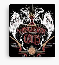 Winchester Colts Canvas Print