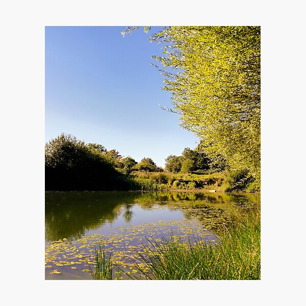 Lake Reflections Photographic Print