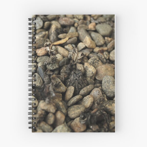 Item preview, Toady Pebbles designed and sold by StampCity.