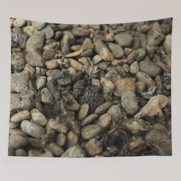 Item preview, Toady Pebbles designed and sold by StampCity.