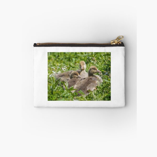 Item preview, Goslings in the sunshine designed and sold by Judi Lion.