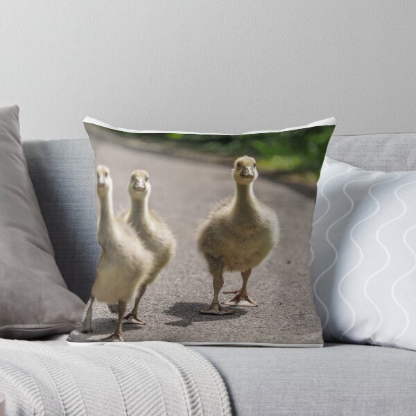 Item preview, Three goslings in a hurry designed and sold by Judi Lion.