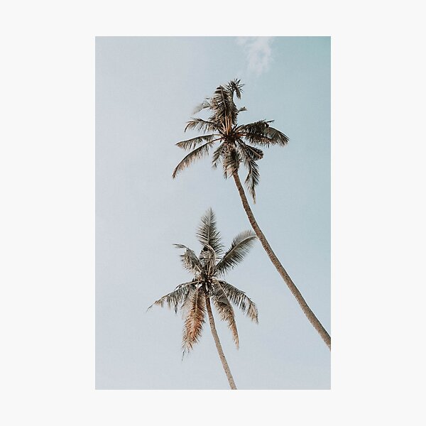 Item preview, two palm trees designed and sold by mauikauai.