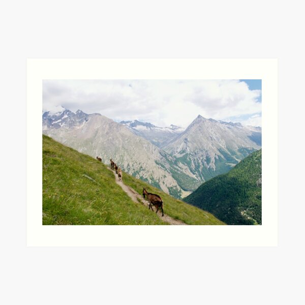 The Goats of Saas-Fee Art Print