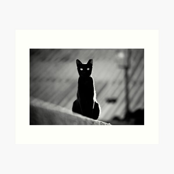 place in the sun for a black cat Art Print