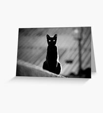 place in the sun for a black cat Greeting Card