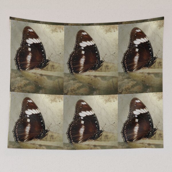 Item preview, Brown Velvet designed and sold by Carol Bleasdale.