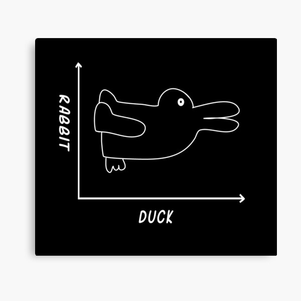 Duck/Rabbit Graph Canvas Print