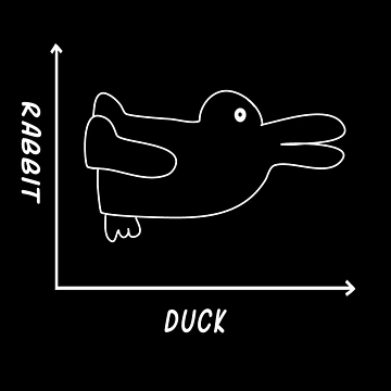 Artwork thumbnail, Duck/Rabbit Graph by Bethcentral Designs