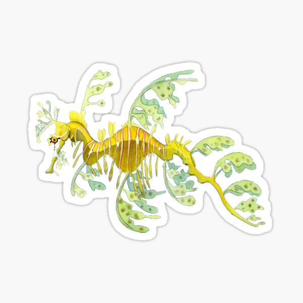 Item preview, Leafy Sea Dragon designed and sold by laurenpenney.