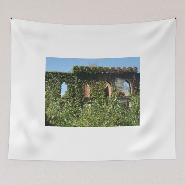 Item preview, Abandoned Hospital, Roosevelt Island, New York City  designed and sold by lenspiro.
