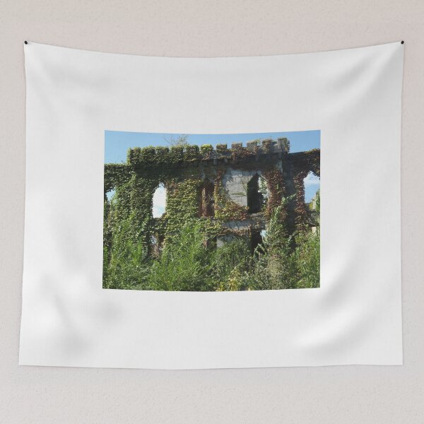 Item preview, Abandoned Hospital, Roosevelt Island, New York City  designed and sold by lenspiro.
