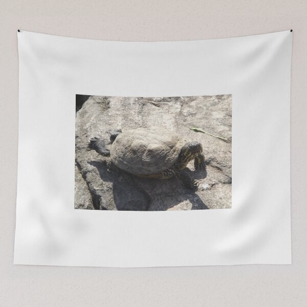 Artikelvorschau, Nahaufnahme der Schildkröte, Central Park, New York City entworfen und verkauft von lenspiro.