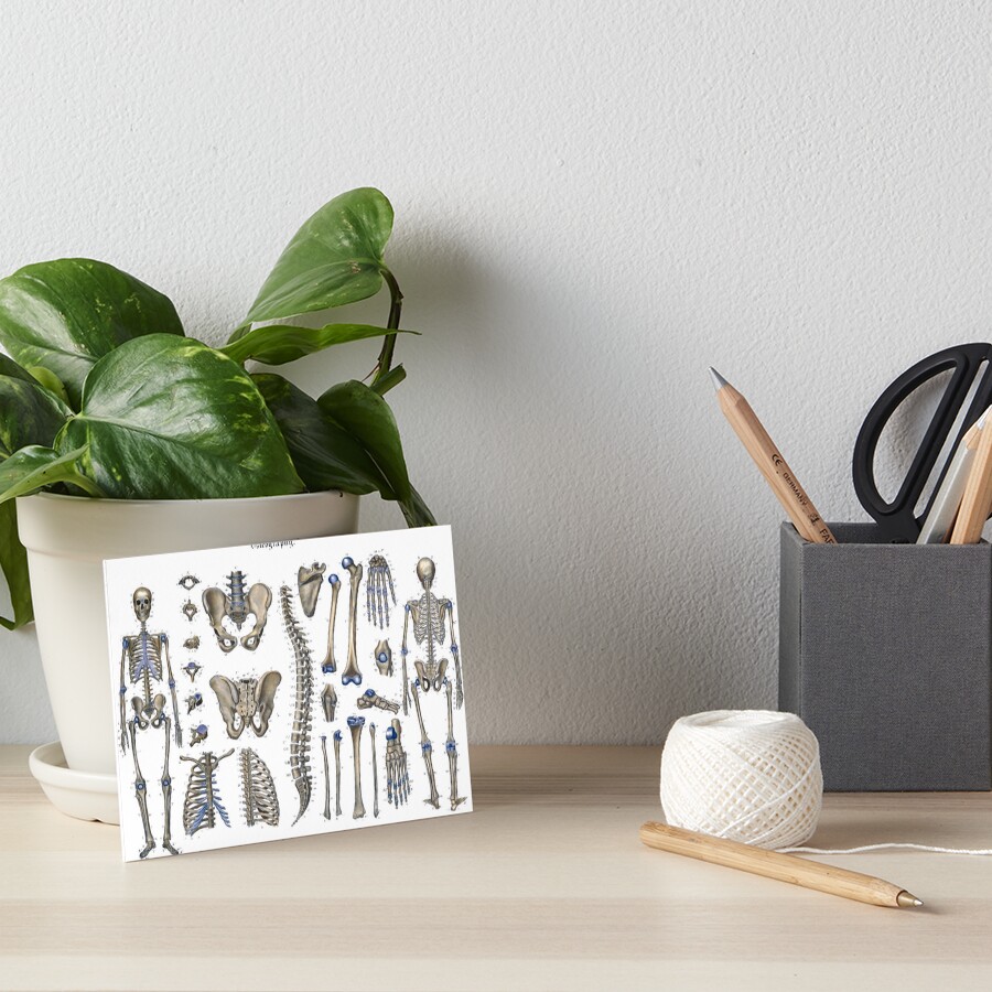 Item preview, Art Board Print designed and sold by StbdCapsized.