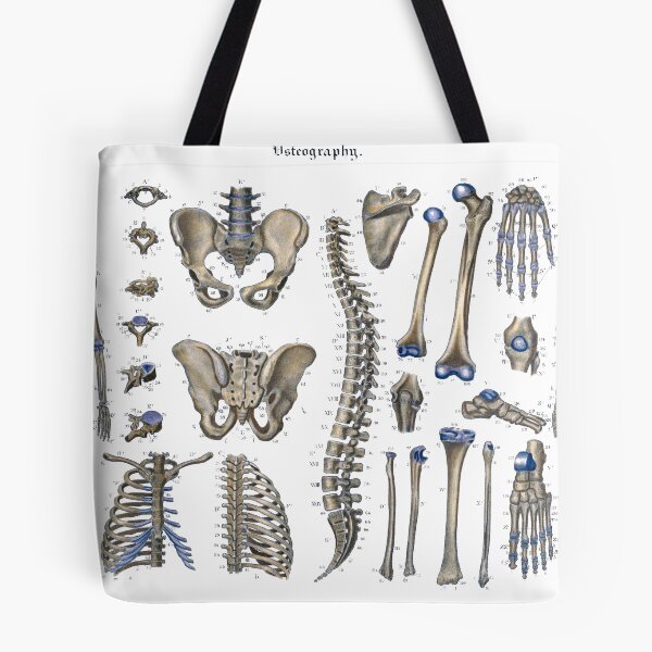 Item preview, osteography  designed and sold by StbdCapsized.