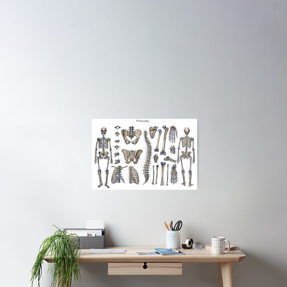 Item preview, Poster designed and sold by StbdCapsized.