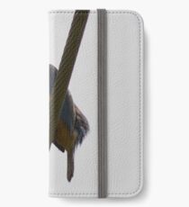 Urban kingfisher iPhone Wallet/Case/Skin
