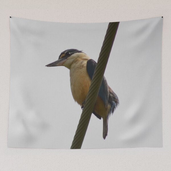 Item preview, Urban kingfisher designed and sold by lizdomett.