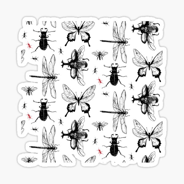 "insects" Sticker for Sale by fergom Redbubble