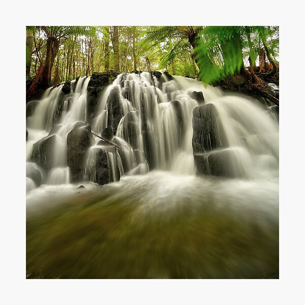 Item preview, Upper Cam Falls, Tasmania designed and sold by Kevin McGennan.