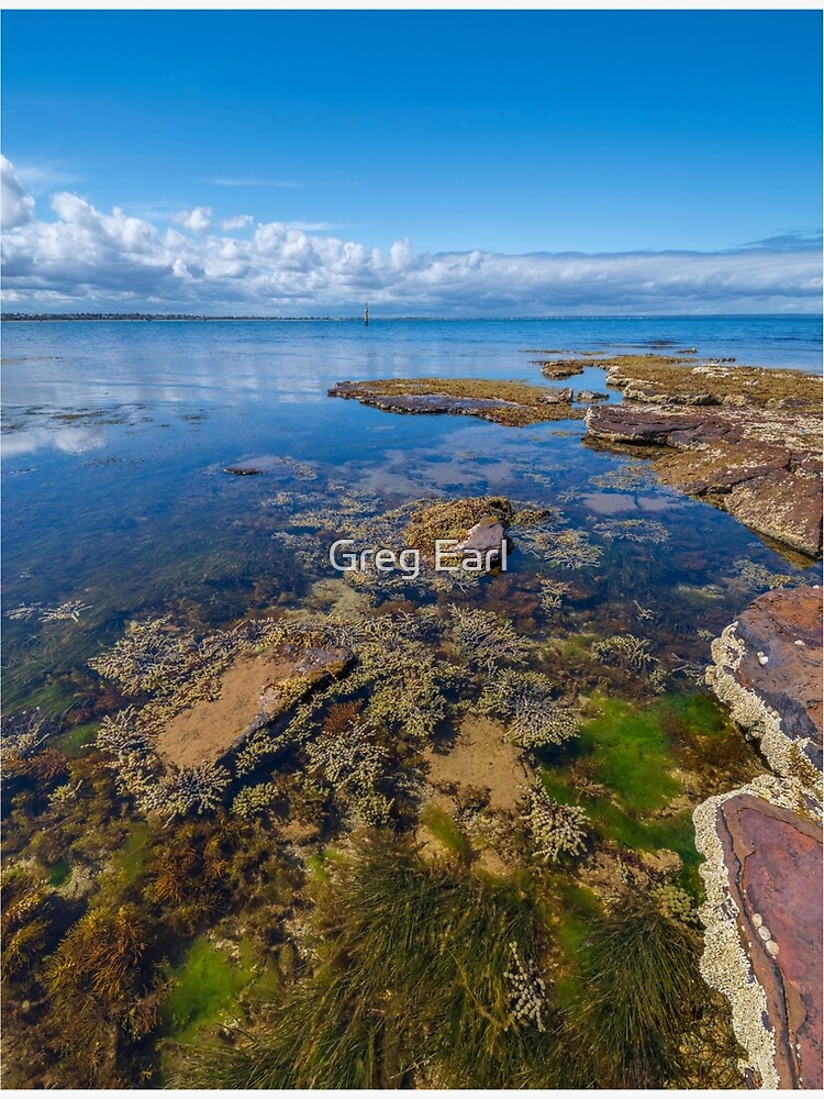 Watkins Bay, Beaumaris by GregEarl