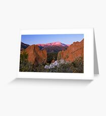 puce Greeting Card