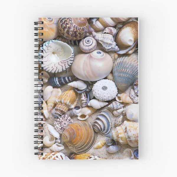 Item preview, Sea Shell Collection designed and sold by artsandsoul.