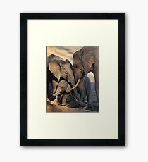 We Are Family. Framed Print
