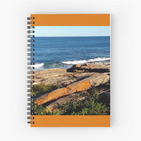 Item preview, Rocky shores of Maine with orange lichen designed and sold by fellowsden.