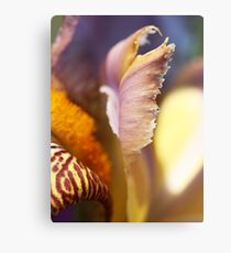 Iris abstract Canvas Print