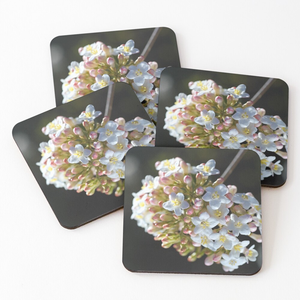 Item preview, Coasters (Set of 4) designed and sold by bubbleblue.