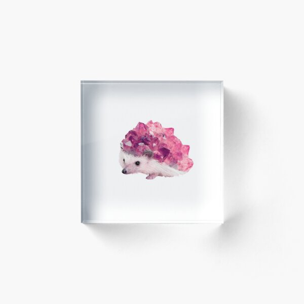 Lucky Mineral hedgehog by Alice Monber Acrylic Block