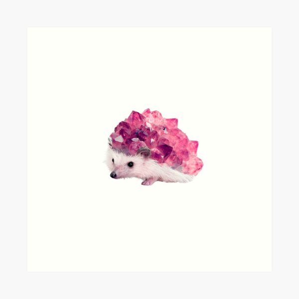 Lucky Mineral hedgehog by Alice Monber Art Print