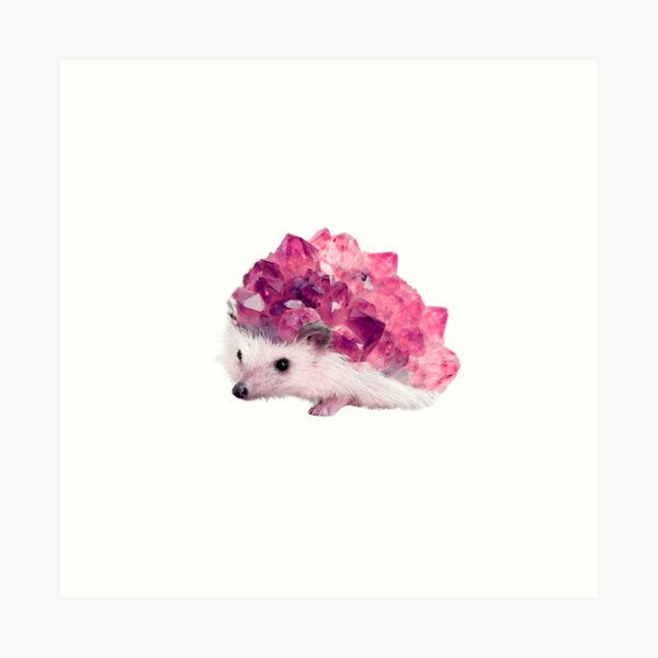 Lucky Mineral hedgehog by Alice Monber Art Print