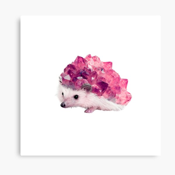 Lucky Mineral hedgehog by Alice Monber Canvas Print
