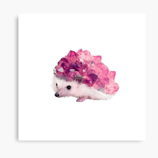 Lucky Mineral hedgehog by Alice Monber Metal Print