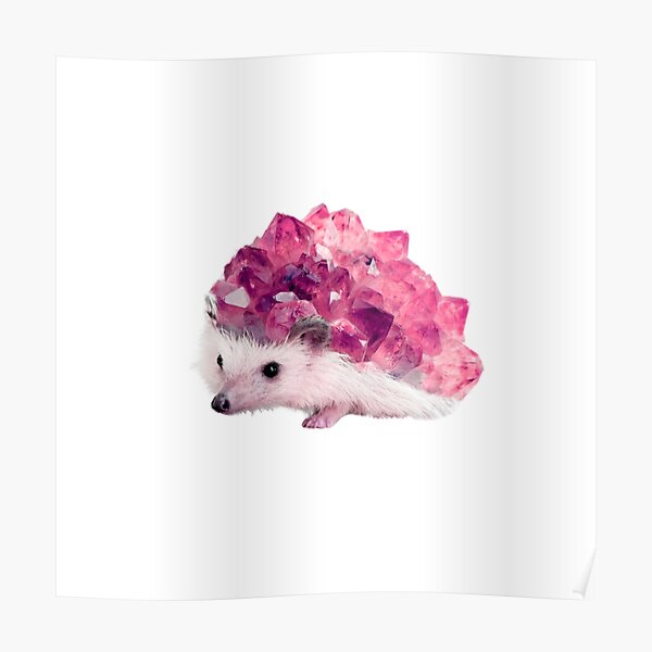 Lucky Mineral hedgehog by Alice Monber Poster
