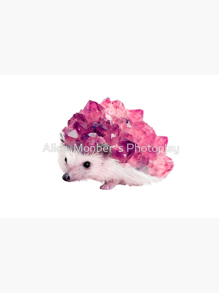 Thumbnail 4 of 4, Zipper Pouch, Lucky Mineral hedgehog by Alice Monber designed and sold by alicemonbercomp.